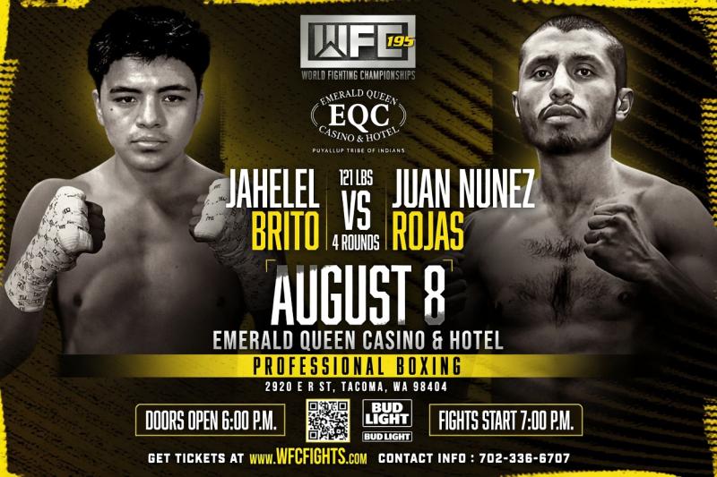 WFC: BOXING - 08/08