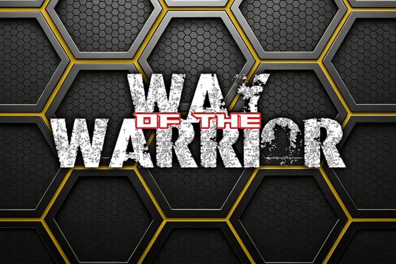 WAY OF THE WARRIOR